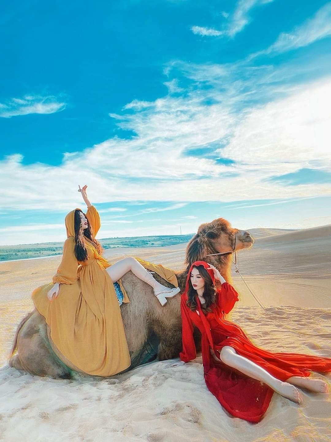 du lịch team building