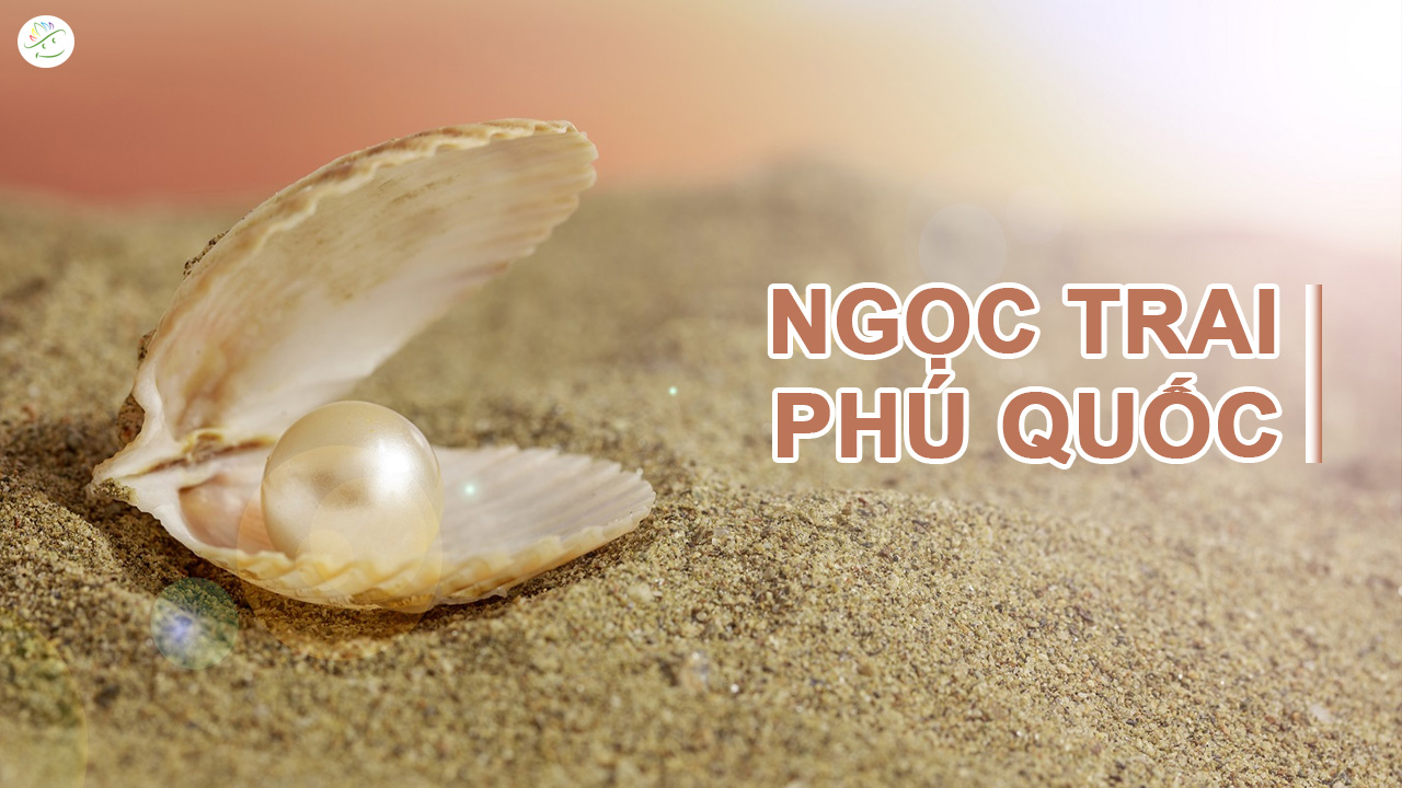 tour du lịch phú quốc teambuilding
